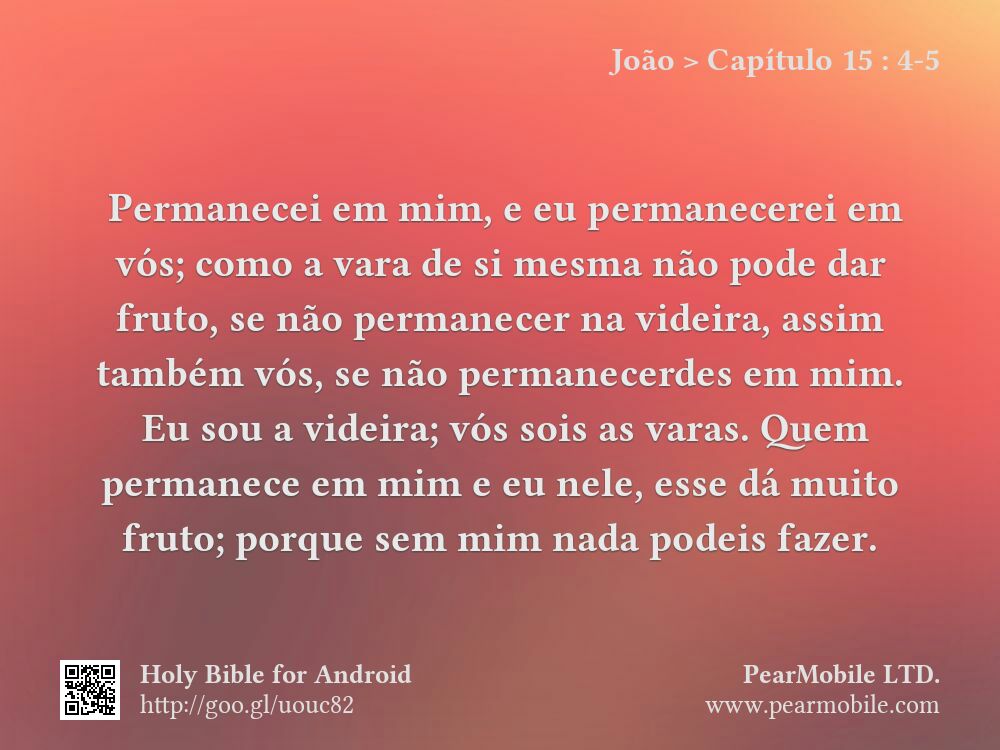 João, Capítulo 15:4-5